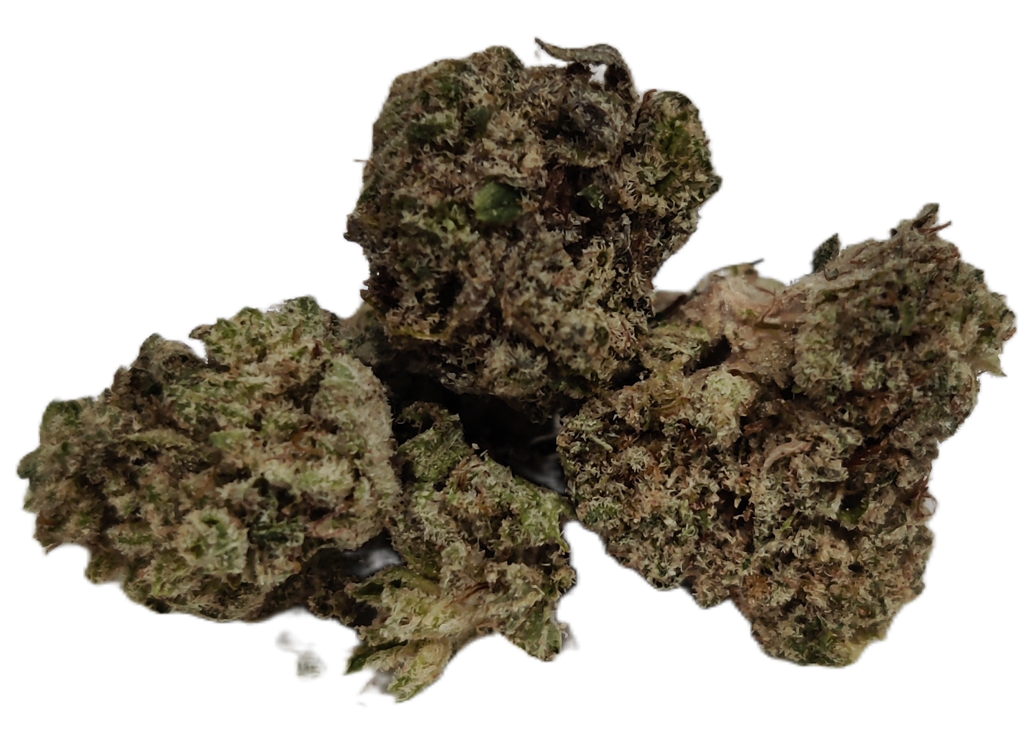 Flower: Raspberry Kush THCa: 29.61% 3.5g HYBRID
