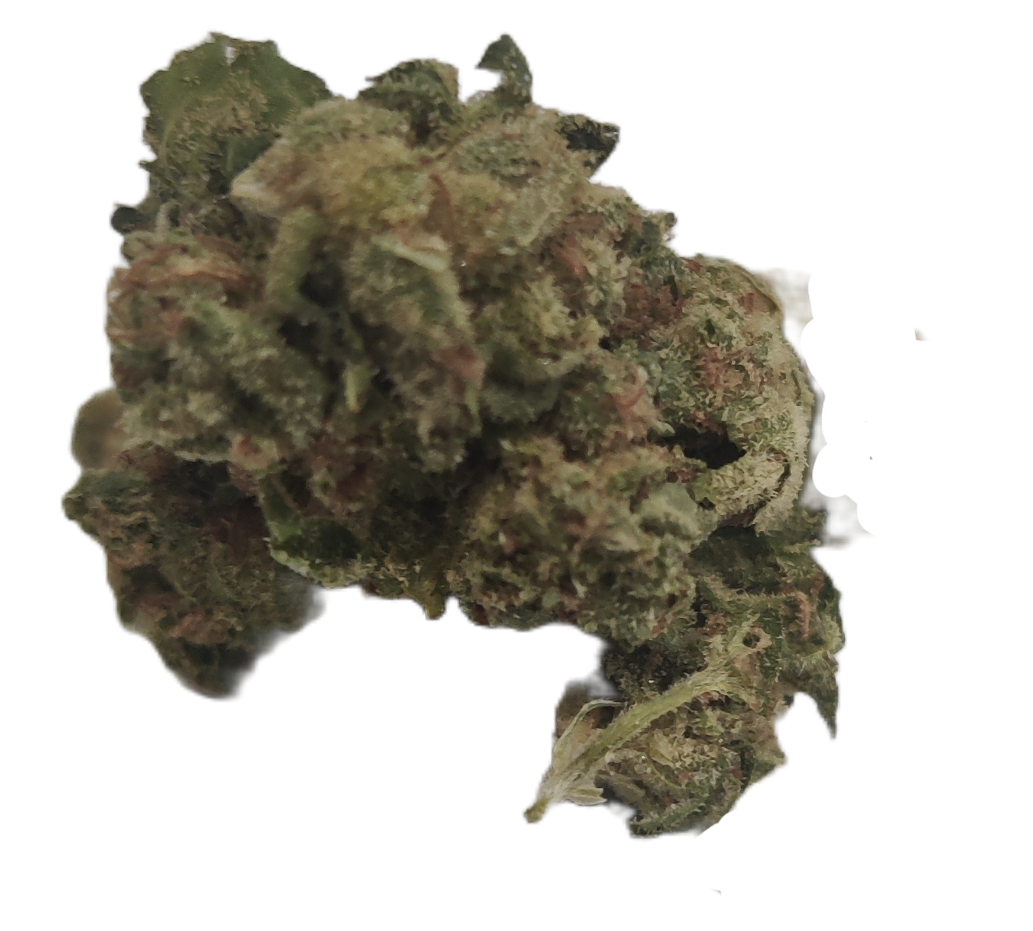 Flower: Alien OG (smalls) THCa: 24.97% 3.5g HYBRID