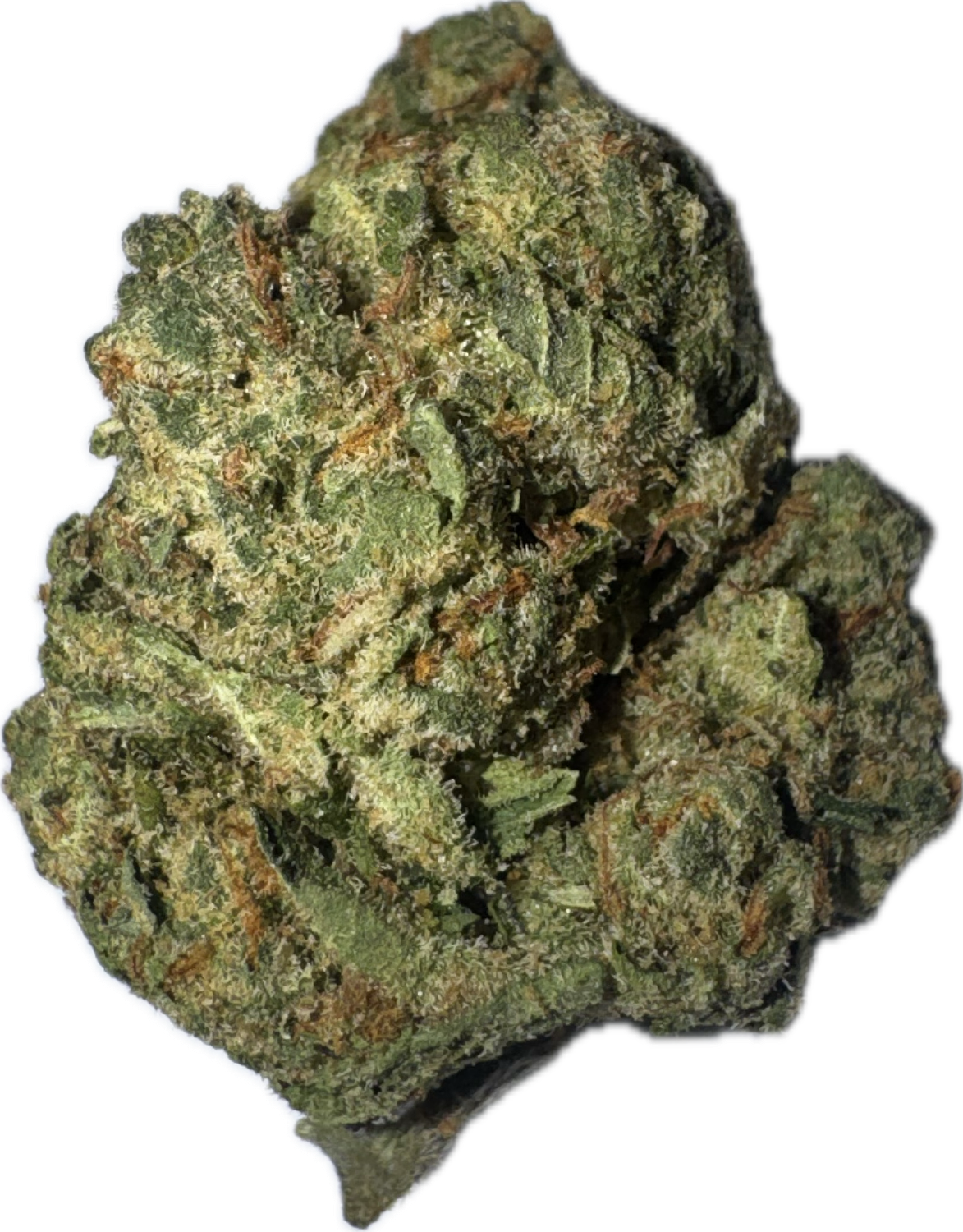 Flower: Santa Maria THC: 26% 3.5g SATIVA
