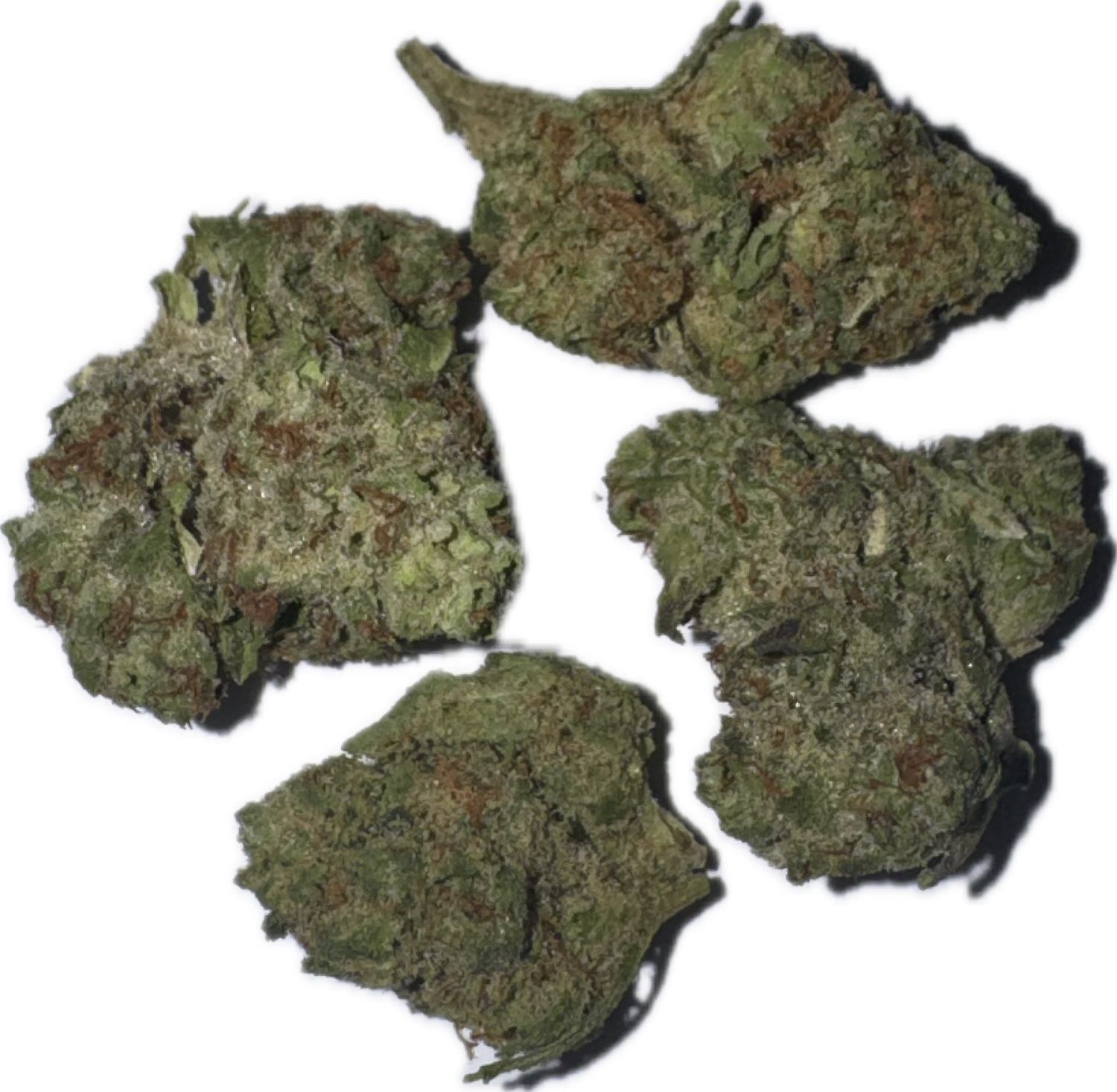 Flower: Devil Driver THC: 24% 3.5g SATIVA