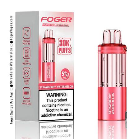 Foger Switch Pro Disposable Pod 30k Puffs 19mL 5% Nic - Strawberry Watermelon