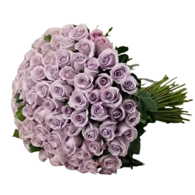 100 roses