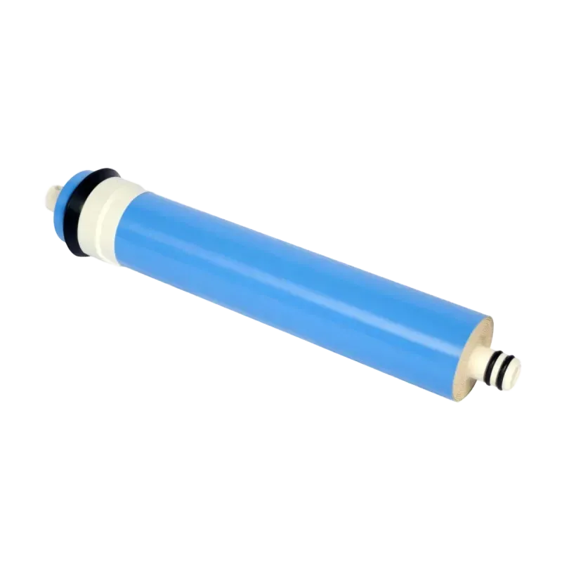 MEMBRANE DE RECHANGE 75GPD - P0012405