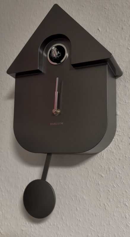 Wall Clock Modern Cuckoo Metallic Metallic dark grey