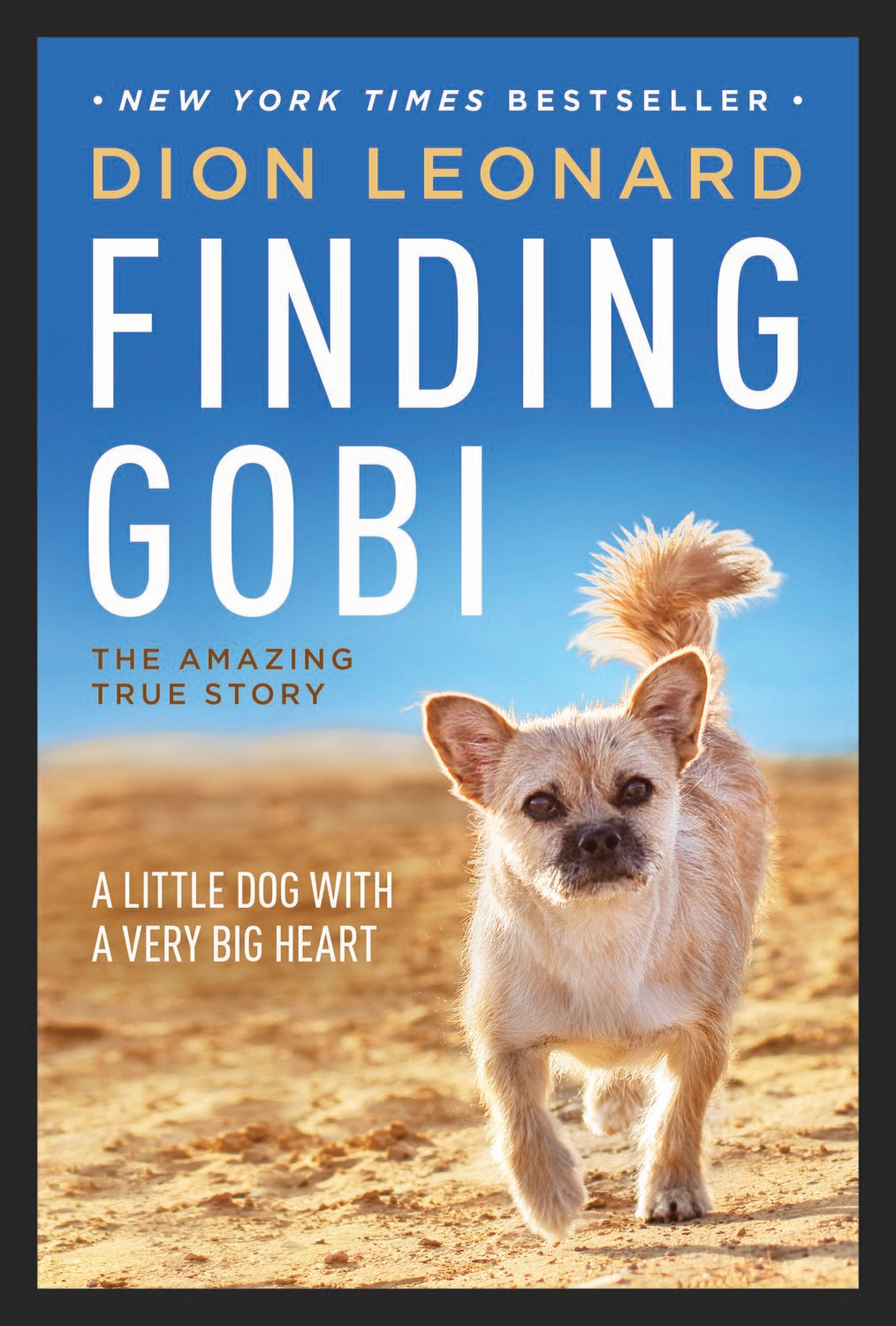 Finding Gobi - Main Edition