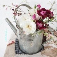 Country Flair 1 Card Collection