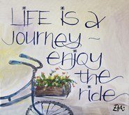 Zika 3  Card Collection