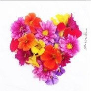 Yellow heart Card Collection