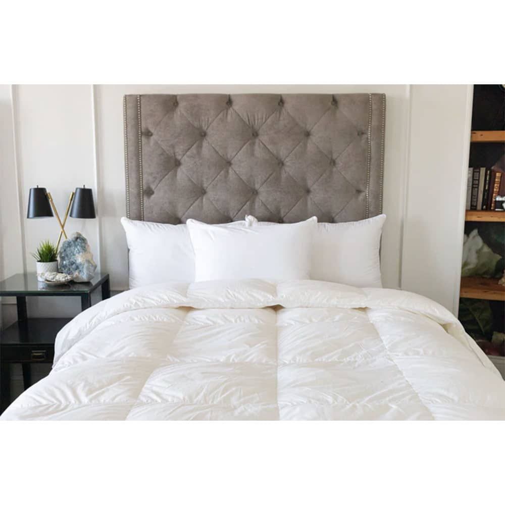 BLISS 2PK STANDARD PILLOW (20"X26") JS-16K1SD-B-DP