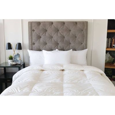 BLISS 2PK STANDARD PILLOW (20"X26") JS-16K1SD-B-DP