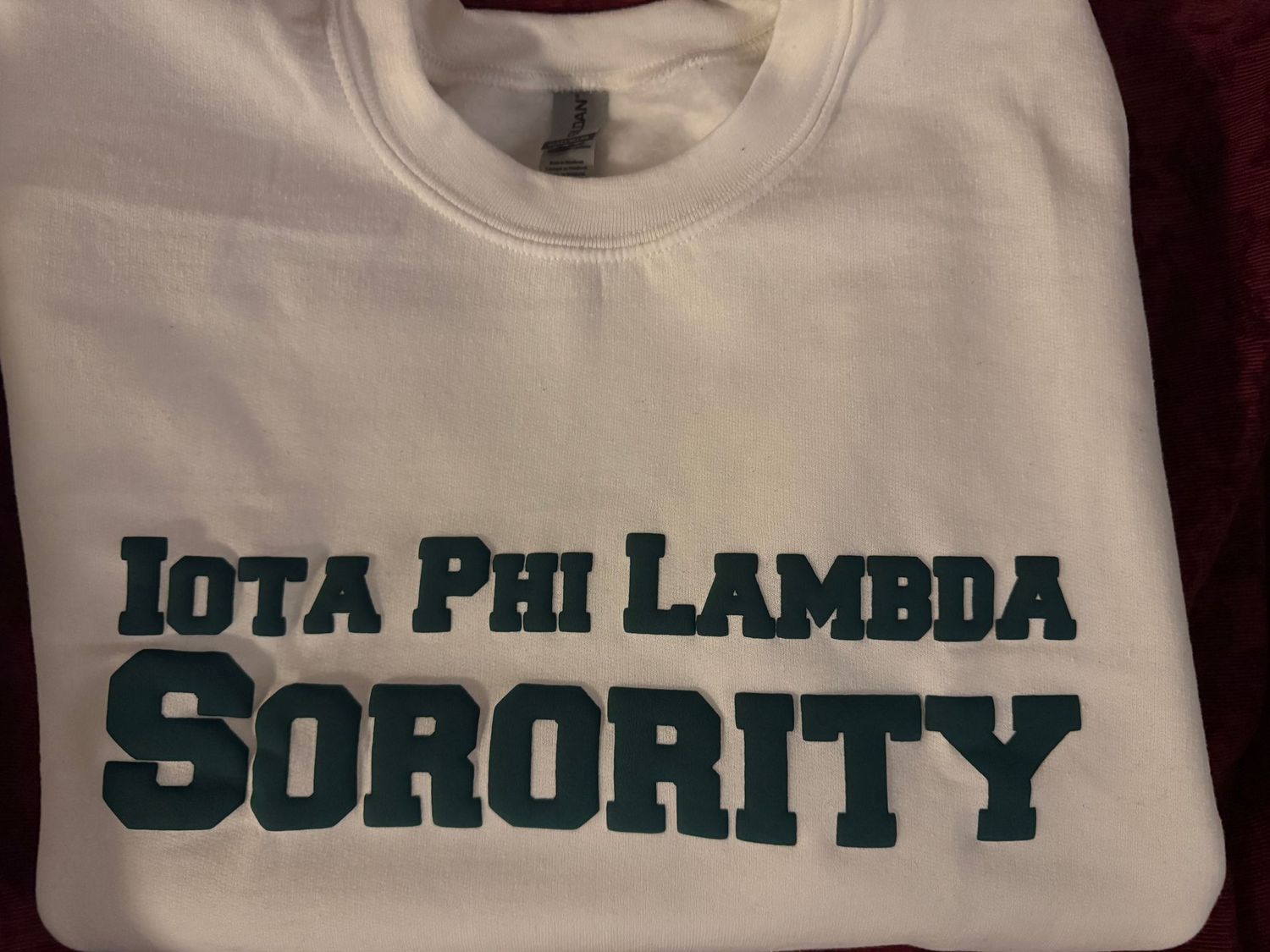Iota Puffer T-shirt