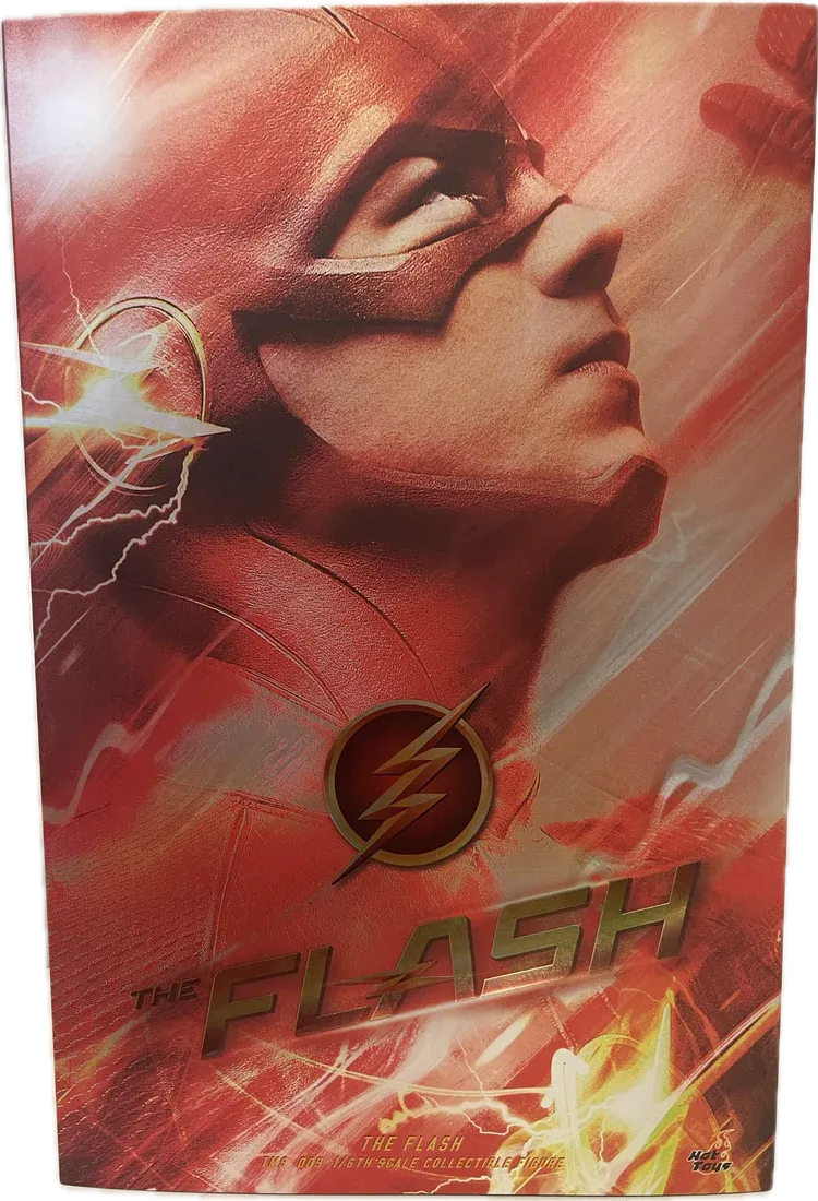 The Flash 1/6th Scale Collectible Figure TMS009
