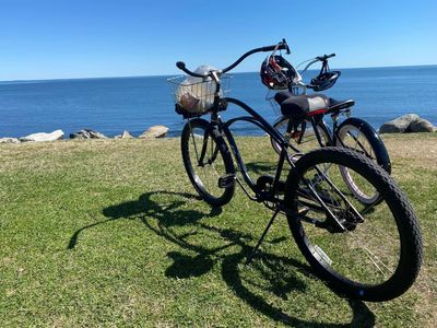 DAILY BIKE RENTALS