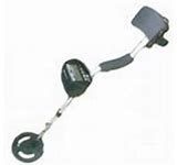 Metal Detector Rental