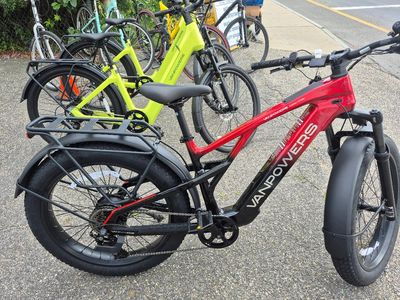 Van Power Fat Tire  Electric Bike