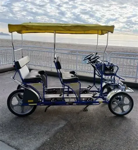 Double Surrey Rental