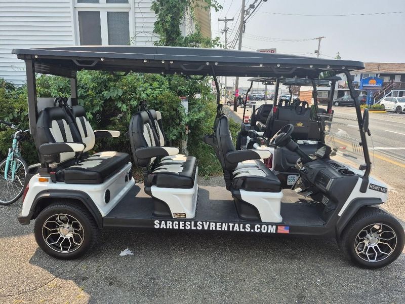 6 Person Golf cart