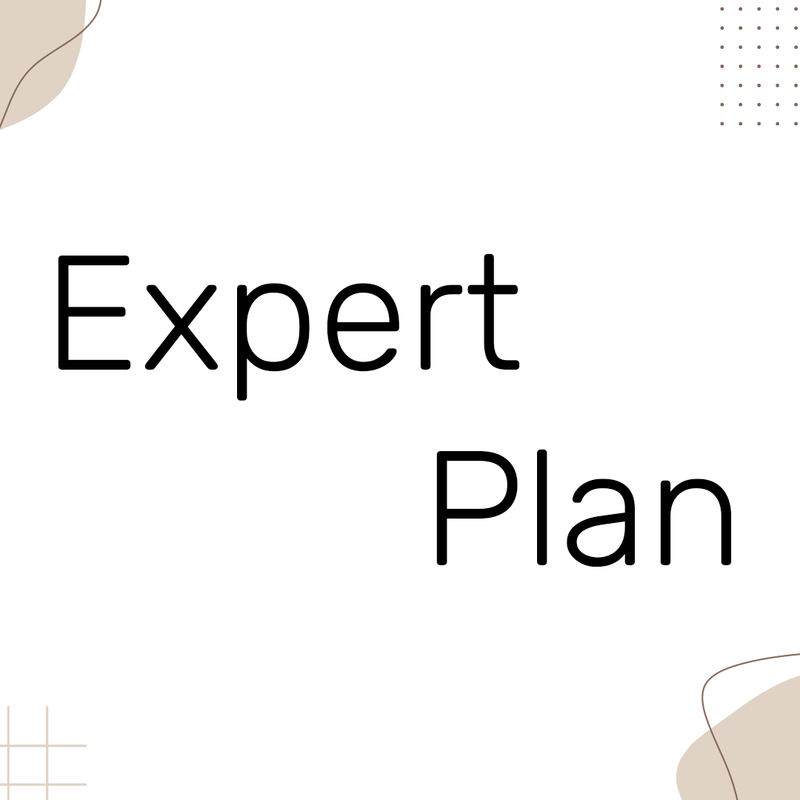 Expert Marketing Plan