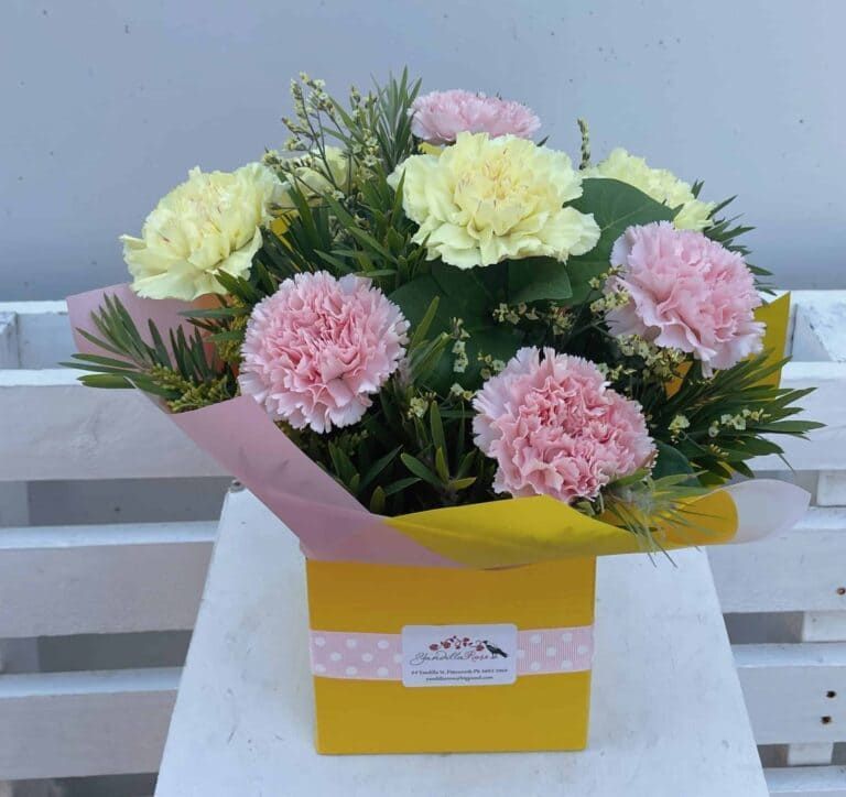 Classic Carnations