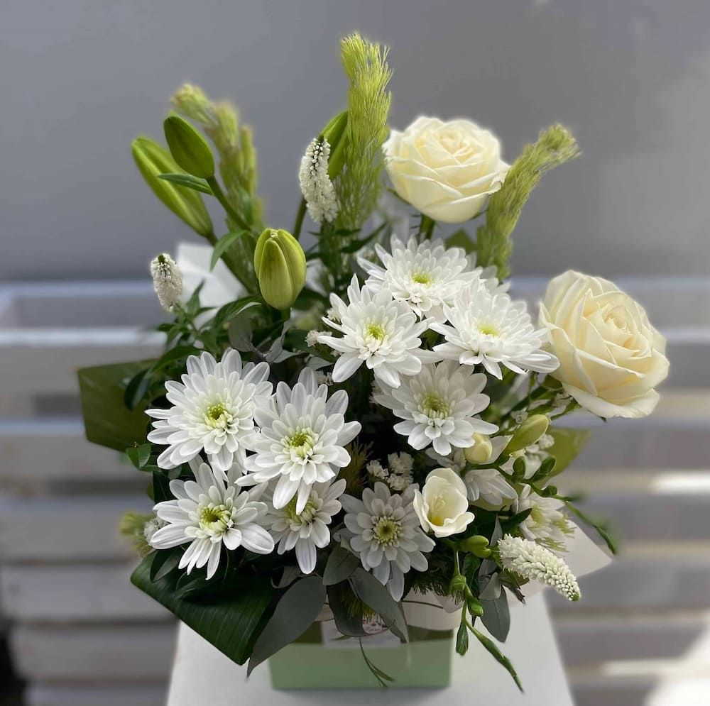 Simply White