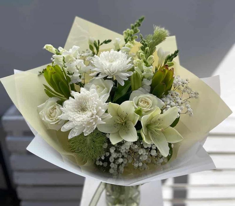 Classic White