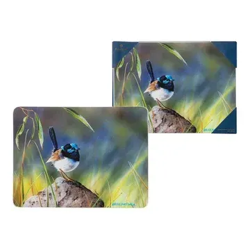 Best in Breed Surface Protector Blue Wren