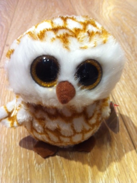 hibou aux grands yeux pailletés