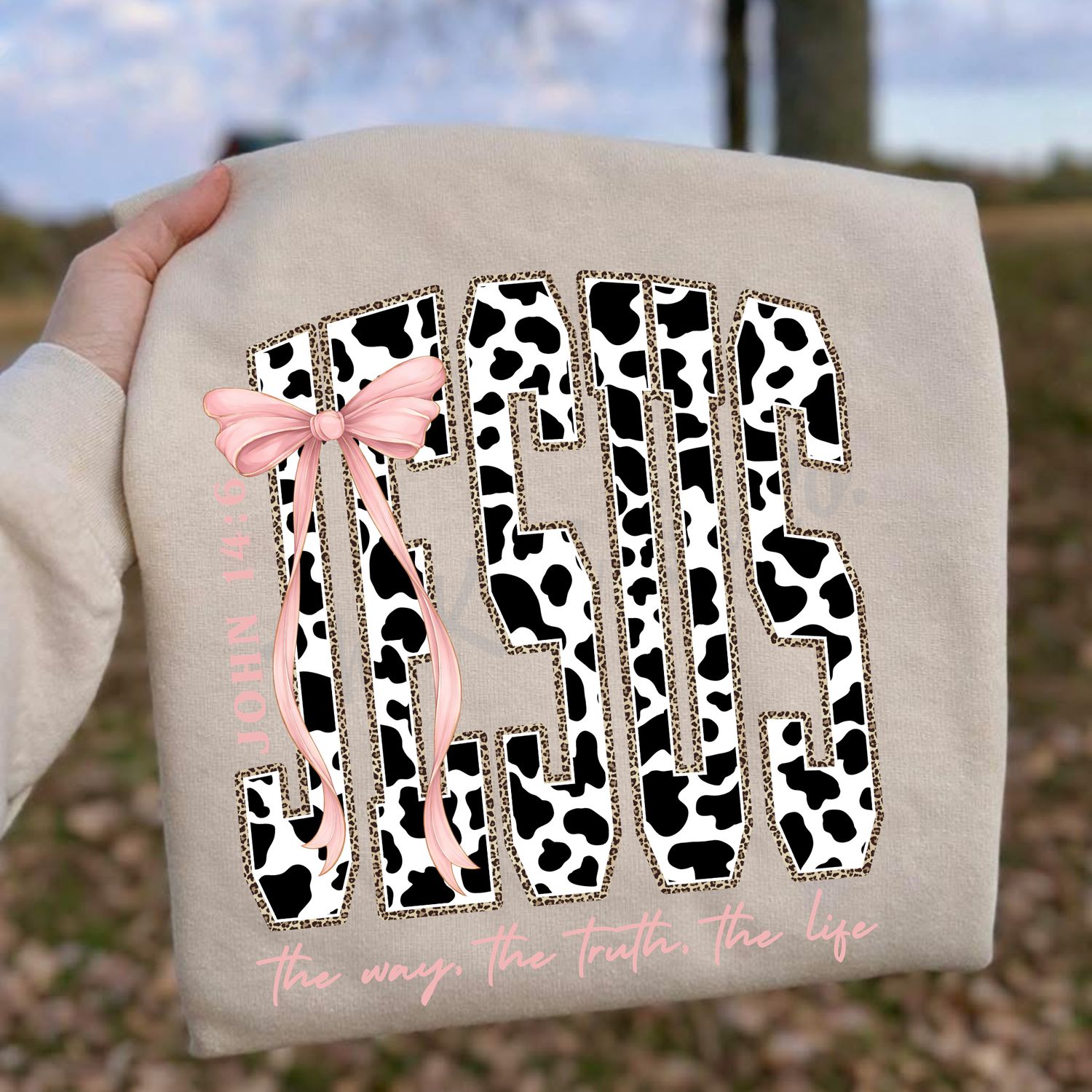 Jesus the way the truth the life