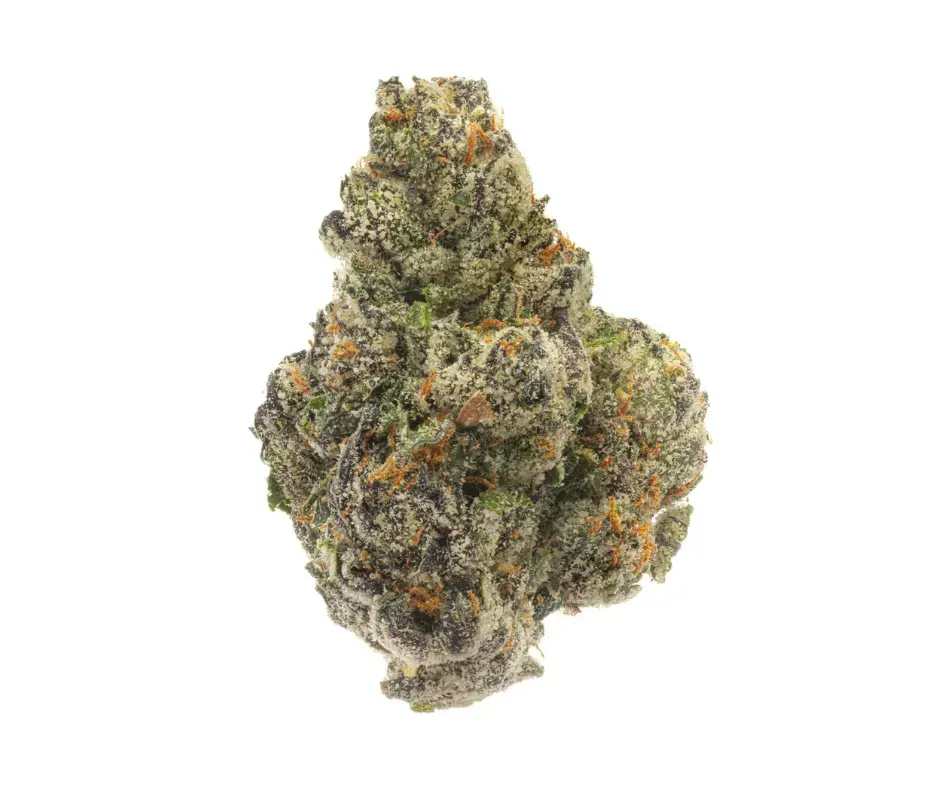 LEMON CHERRY GUMBO | HYBRID