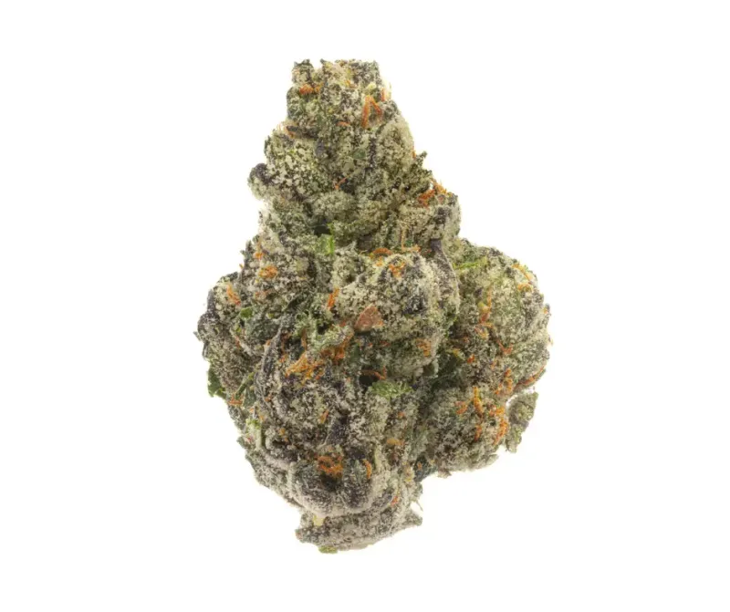 LEMON CHERRY GUMBO | HYBRID