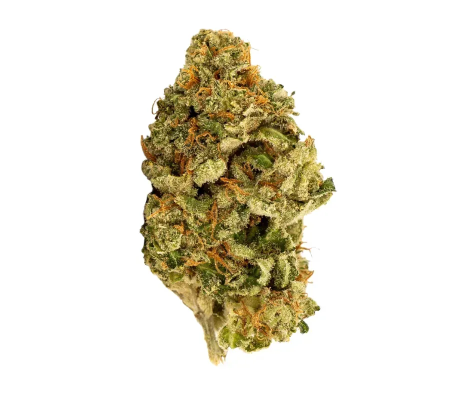 Pink Lemonade | HYBRID