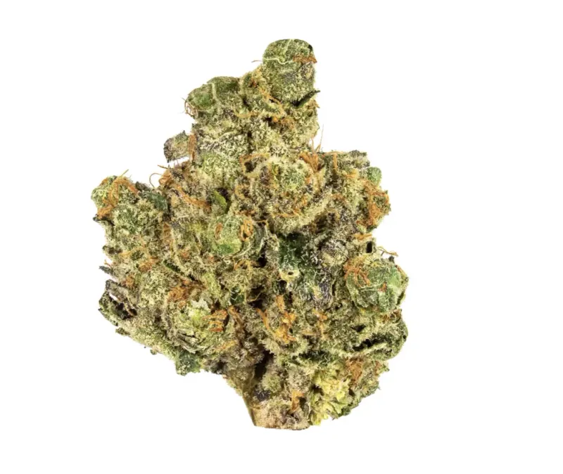 Wedding Crusher | HYBRID