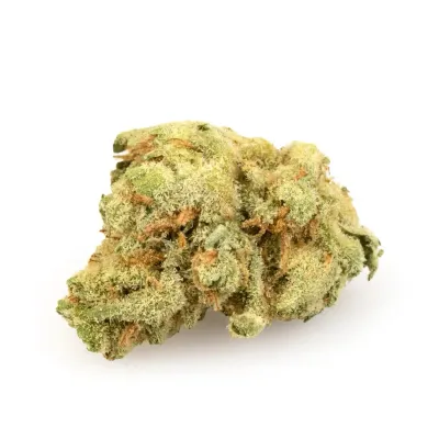 Papaya Punch | HYBRID