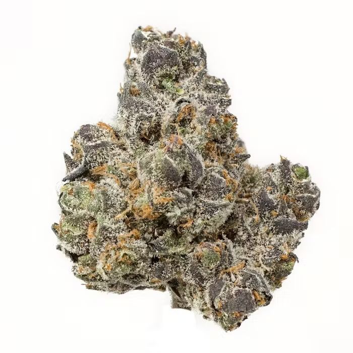 Apple Fritterz | HYBRID