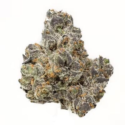 Apple Fritterz | HYBRID
