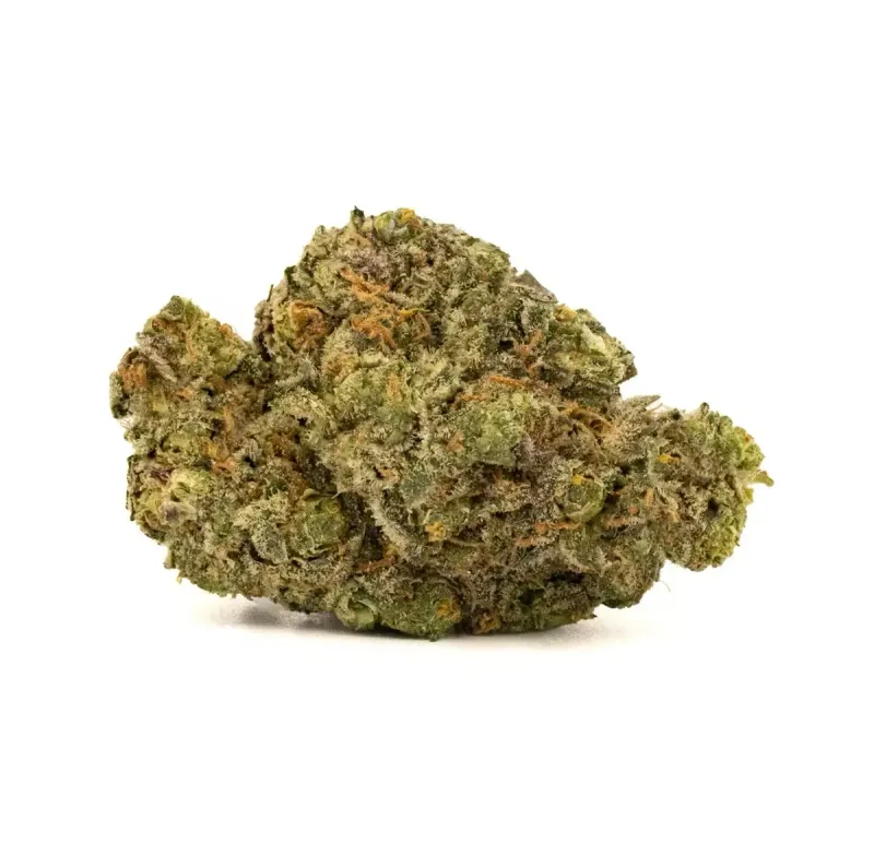 Gelato Cookies | HYBRID