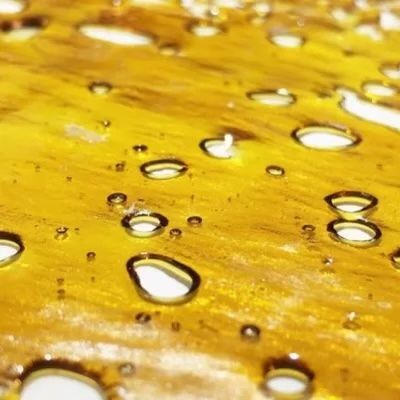 Tangie Dream ?