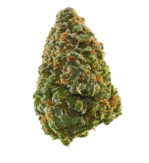 Green Crack | Sativa