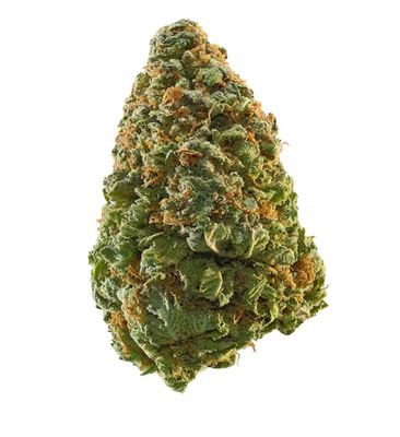 Green Crack | Sativa