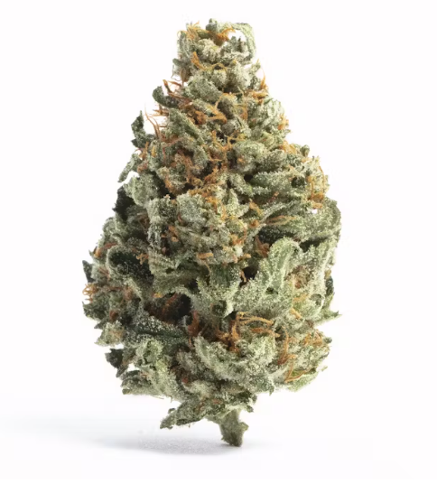 Gorilla cookies | Hybrid