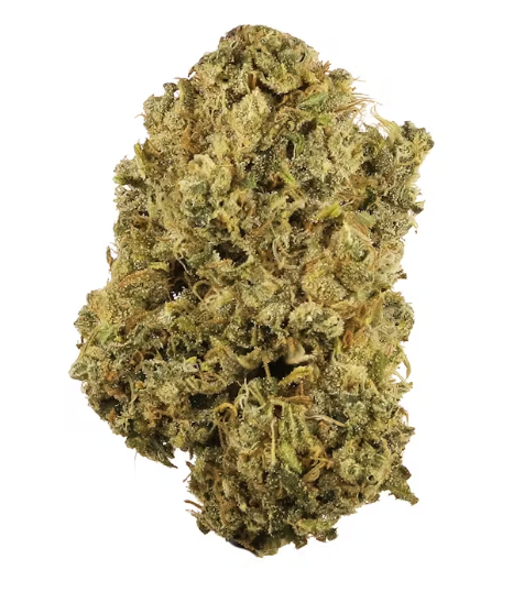 Durban Poison | SATIVA
