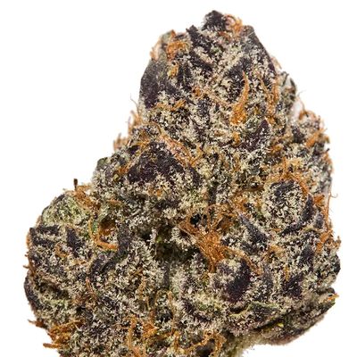 SHERB CREAM PIE | HYBRID