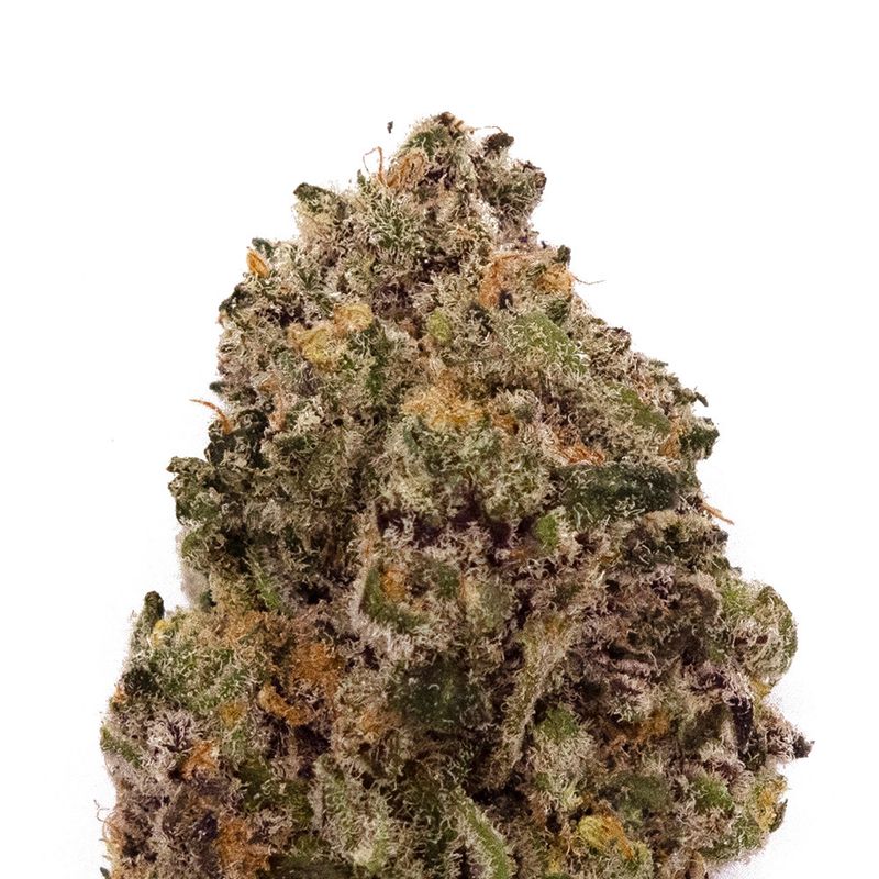 BLACK TRUFFLE