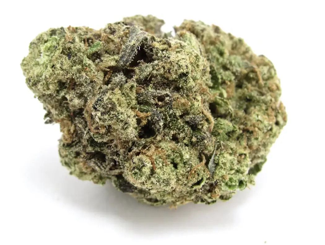 Italian Ice | HYBRID