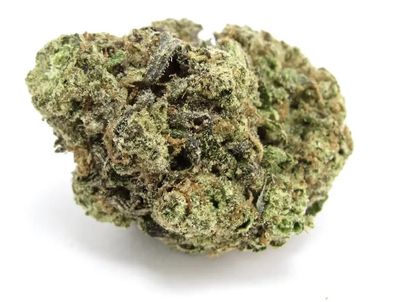 Italian Ice | HYBRID