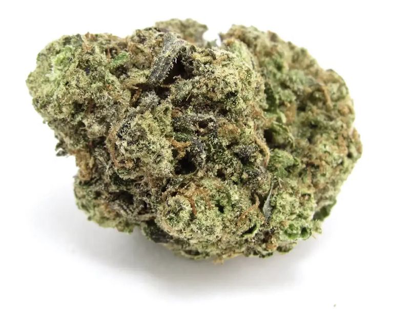 Italian Ice | HYBRID