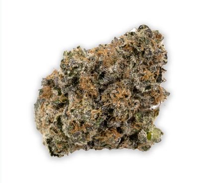 BUBBLEGUM DULCE | HYBRID