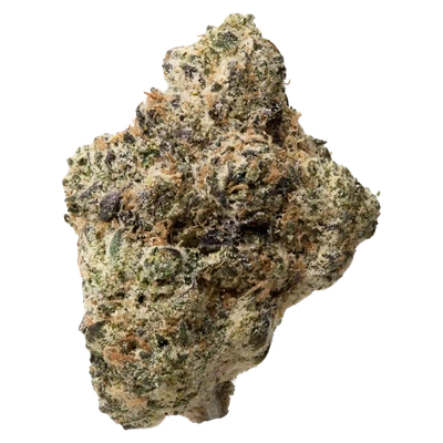 HORCHATA | HYBRID