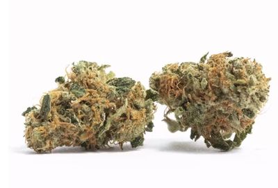 Maui Wowie | Sativa