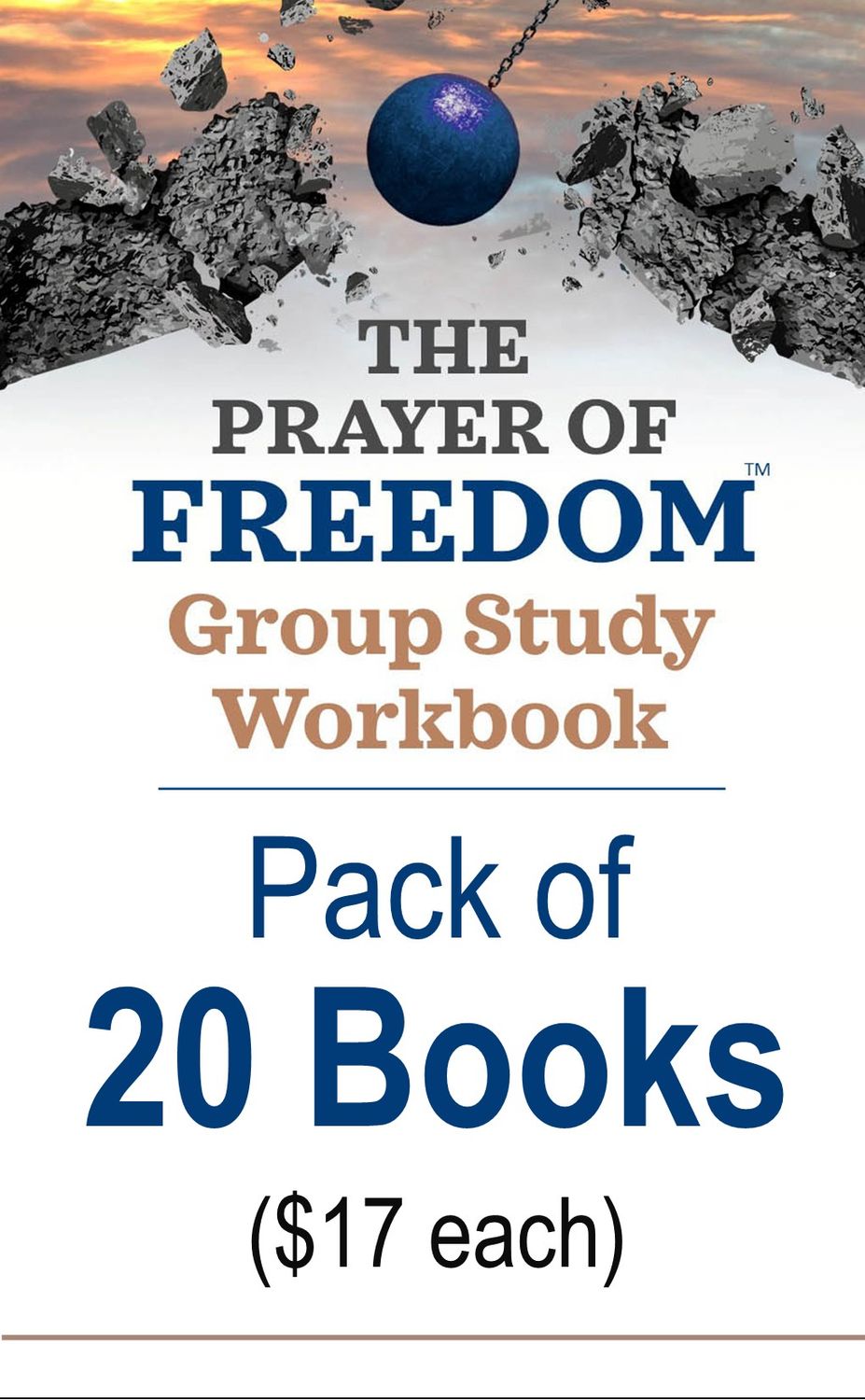 20-Pack of the Group Study Workbook